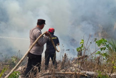 Penajam Jadi Wilayah dengan Karhutla Terbanyak di PPU, 381 Hektare Lahan Terbakar