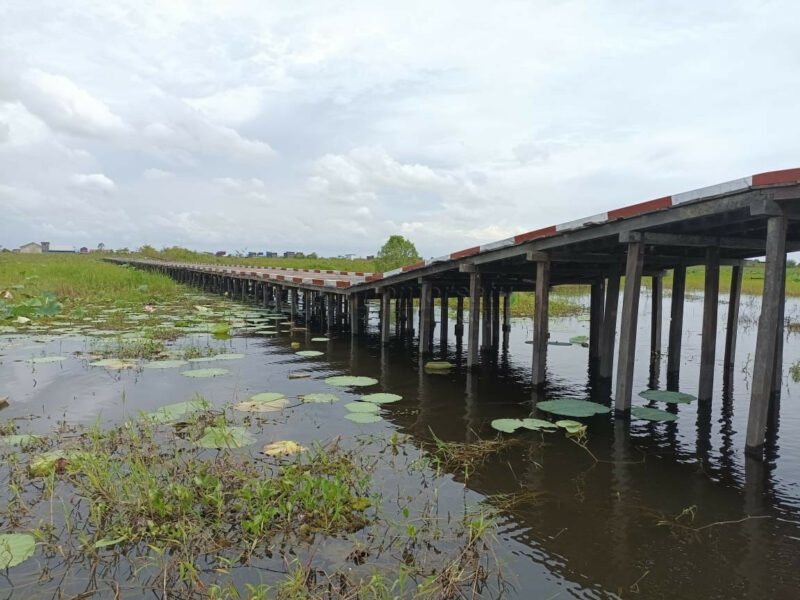 Pencuri Kayu Proyek Jembatan Desa Jantur Ditangkap, Pemkab Kukar Rugi Rp 50 Juta