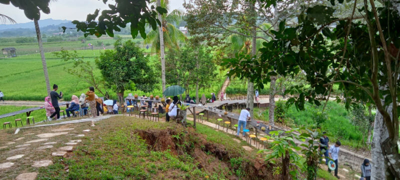 Baru 2 Pekan Dibuka, Wisata Sawah Sudut Pandang Sedot Perhatian Pengunjung