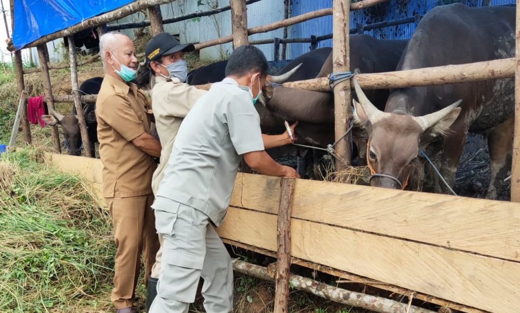 Kementan: Sanitasi Hewan Kurban Harus Dijaga