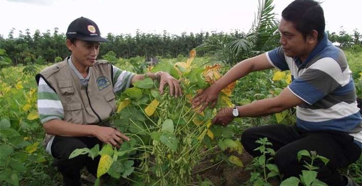 Kalah Bersaing Produk Impor