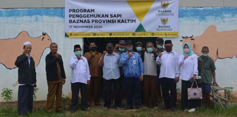 Baznas Bantu Gakoptan 10 Ekor Sapi