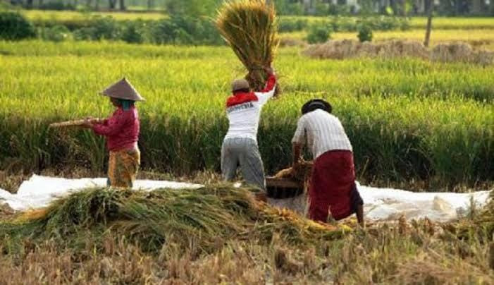 Sebagai Penopang IKN, Alif Turiadi Berharap Petani Kukar Tingkatkan Produksinya