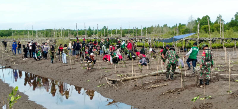 Bupati dan Wabup Kutim Ikuti Tanam Mangrove yang Digelar IKA Fahutan Unmul