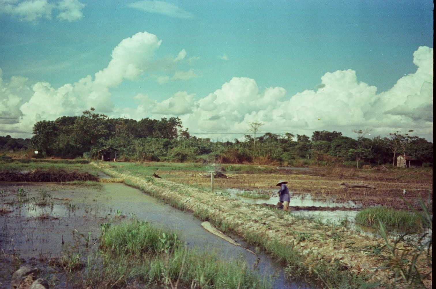 Asuransi Petani Diwacanakan Lagi