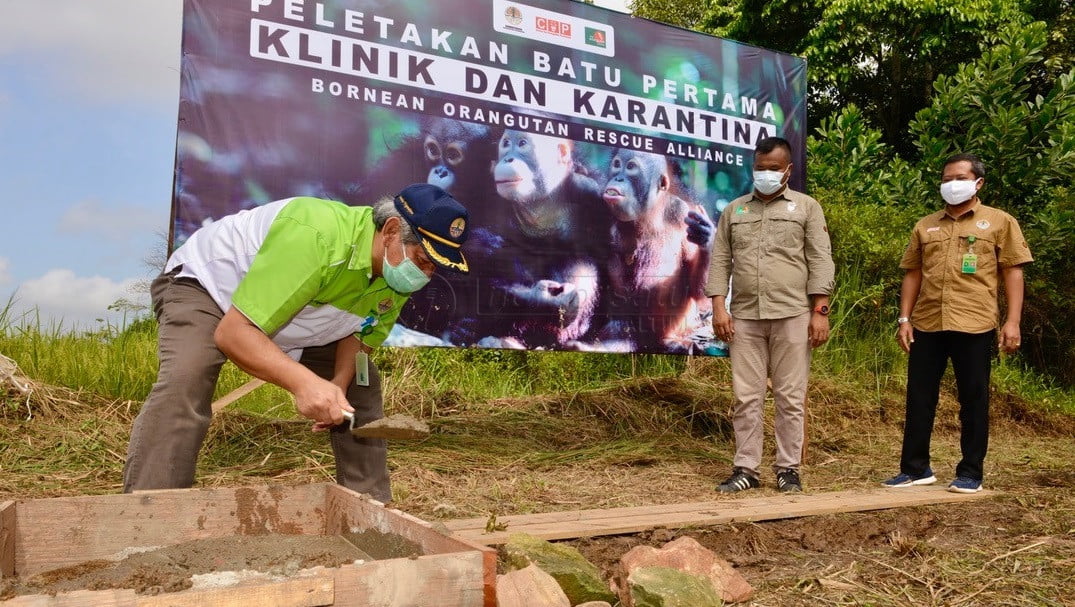 Bangun Klinik Khusus Orangutan