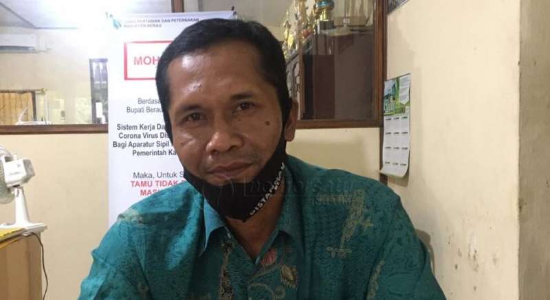 Usulan Pupuk Subsidi Meningkat