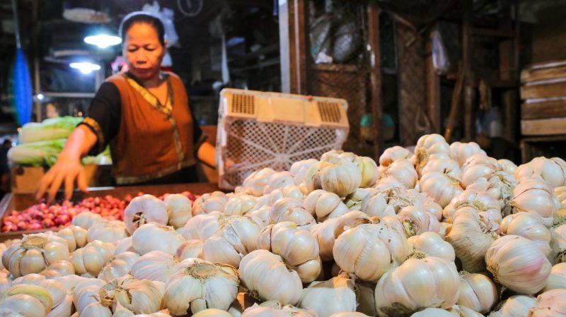 Diburu untuk Obat Corona, Harga Bawang Putih Mendadak Naik