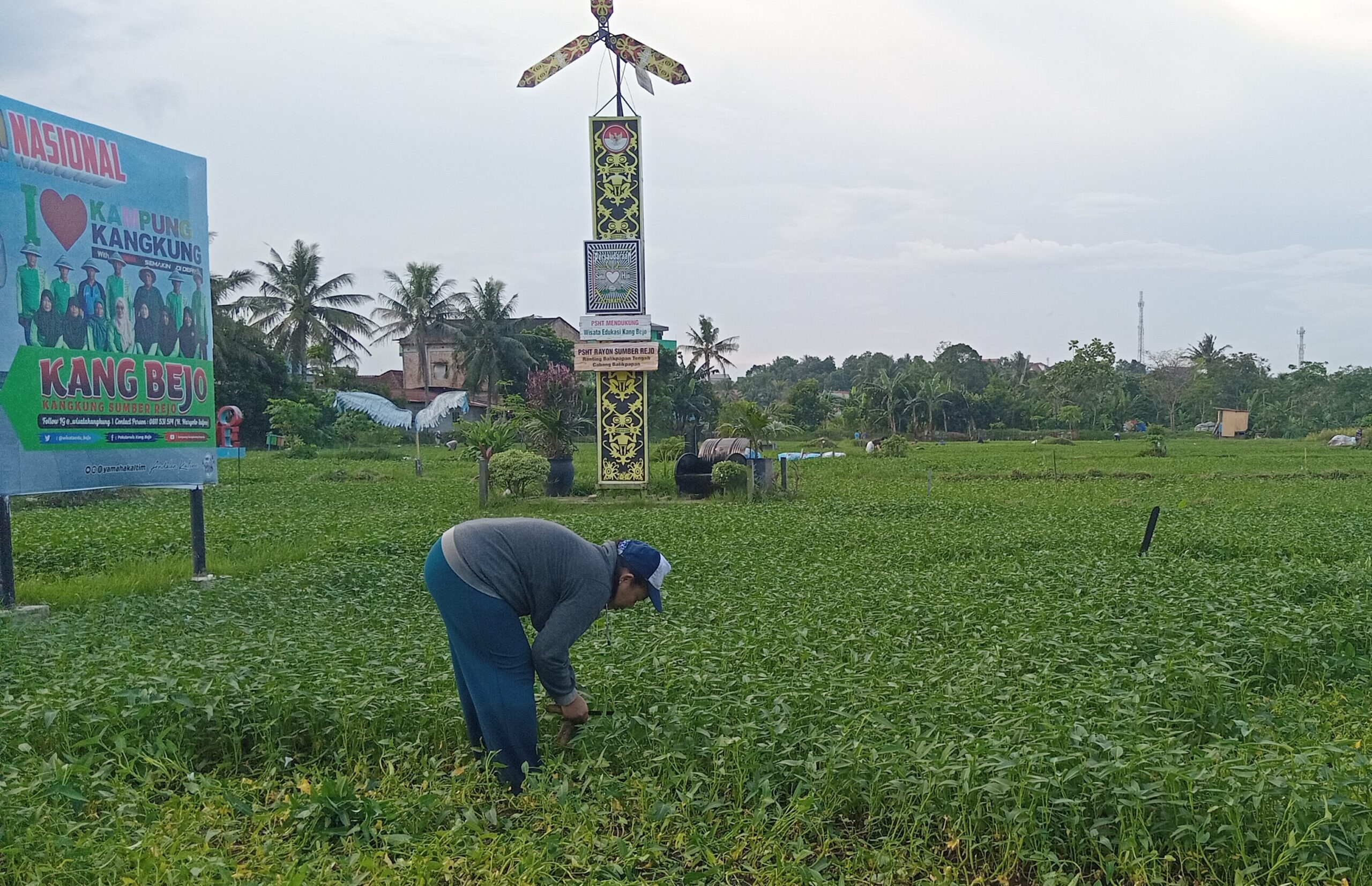 Invetasi Publik di Pertanian Naik 22 Persen