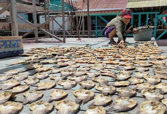 Olahan Ikan Asin Melimpah, PemDes Semayang Dorong Masuk PADes