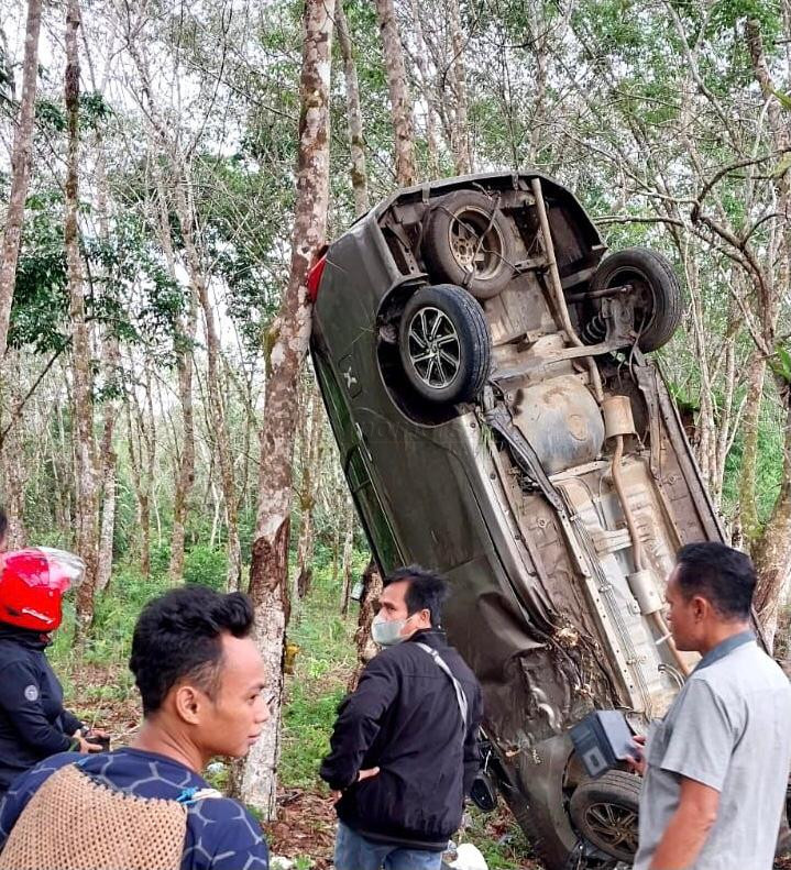 Toyota Calya Nyangkut di Pohon Karet