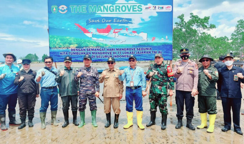 PAMA Kutim dan Lanal Sangatta Tanam 7700 Mangrove di Pantai Kenyamukan