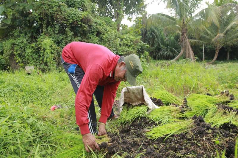 Deflasi Kaltara 0,21 Persen