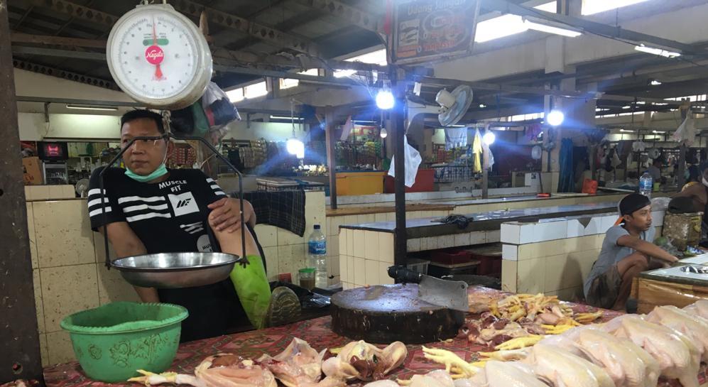 Harga Ayam Anjlok