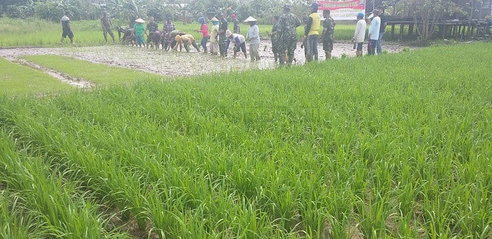 Dukung Visi Kementan