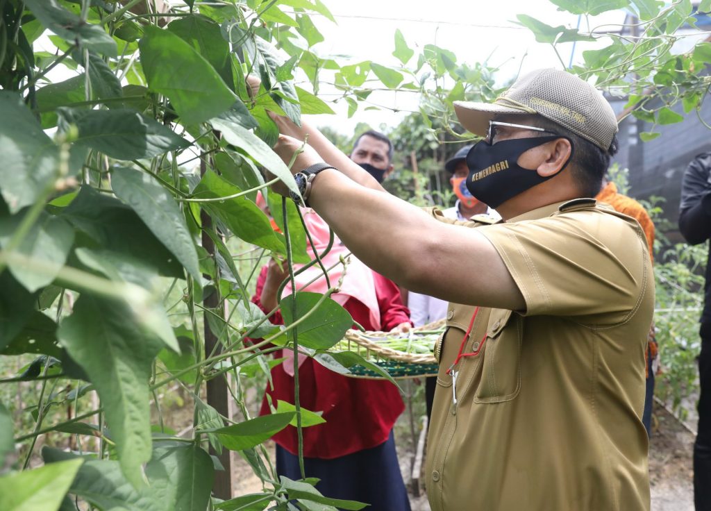 Kagum Dengan Potensi Perkebunan Lada di Mangkupadi.