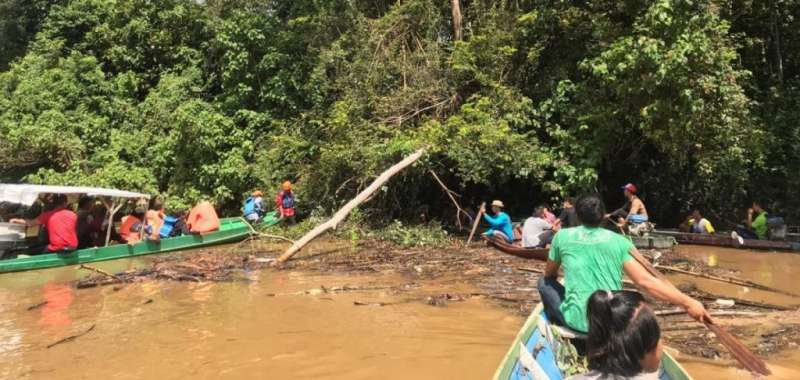 Terkendala Arus dan Batang Pohon