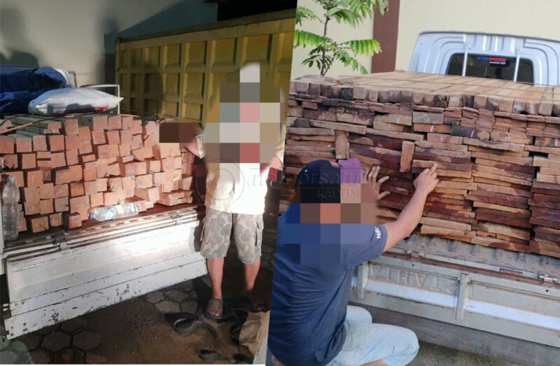 Dua Warga Loa Janan Tertangkap Bawa Kayu Ilegal