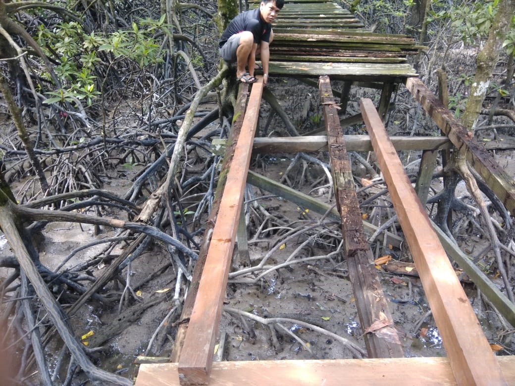 Kawasan Mangrove Dianggarkan Rp 400 Juta