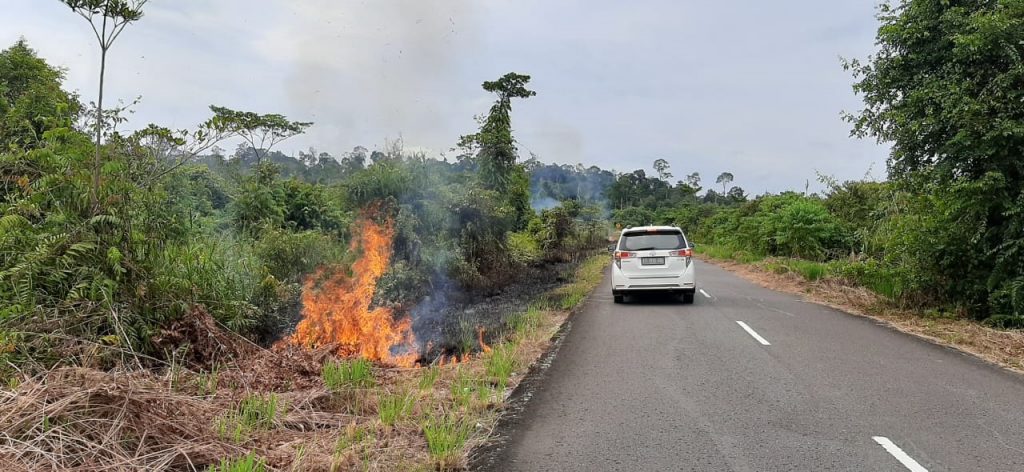 Karhutla Bikin Khawatir Warga