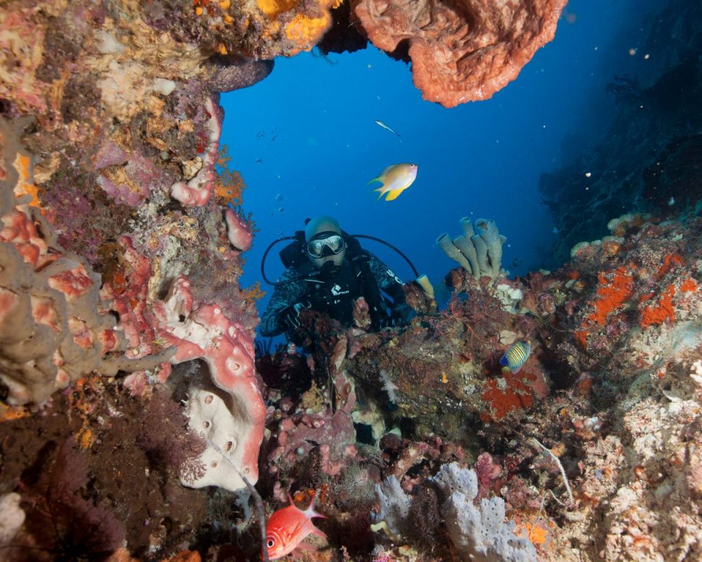 Selama Pandemik Laut Beristirahat