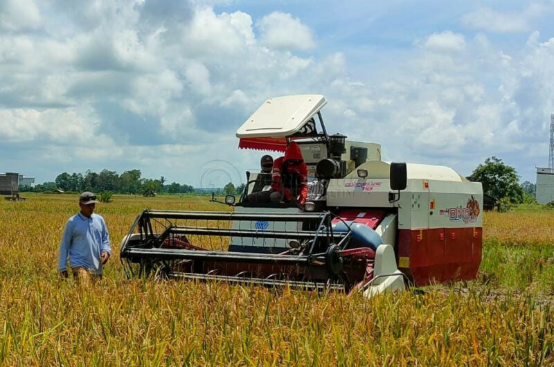 Genjot Produksi Pertanian, Pemkab Kukar Bangun Infrastruktur Penunjang