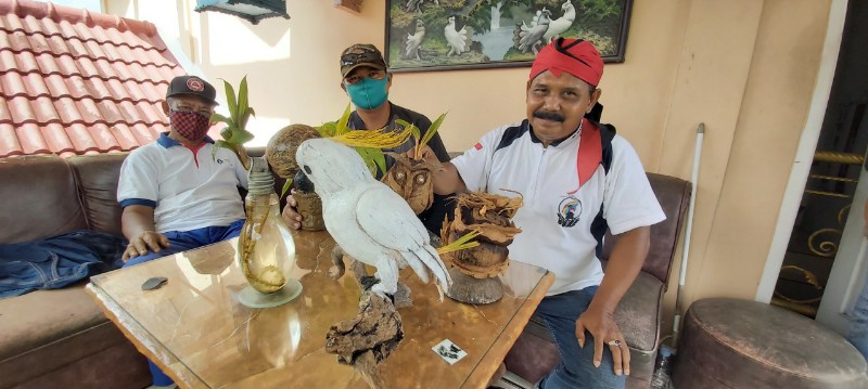 Pecinta Bonsai Balikpapan Rangkai Bonsai seperti Burung Kakak Tua