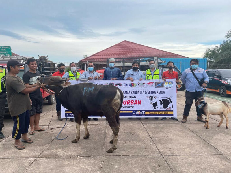 Tahun Ini, PAMA KPC Sangatta Bagikan 92 Hewan Kurban