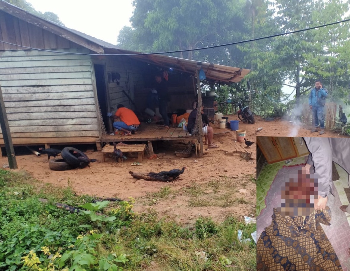 Diserang 10 Rampok Bertopeng, Penjaga Sarang Walet Tewas Ditikam