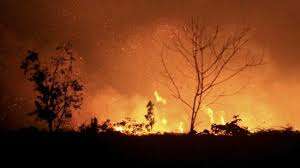 Kabut Asap di Samarinda Masih Tak Berbahaya