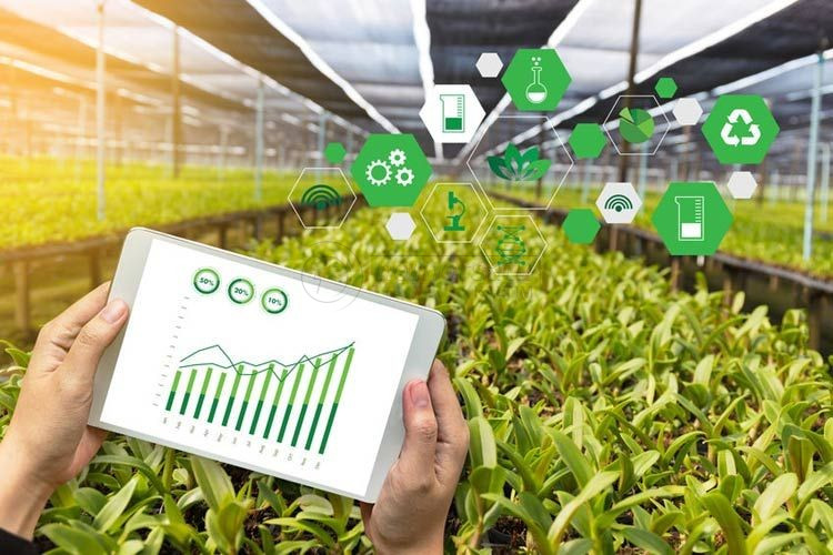 Gandeng FAO, Indonesia Luncurkan Strategi Digitalisasi Pertanian