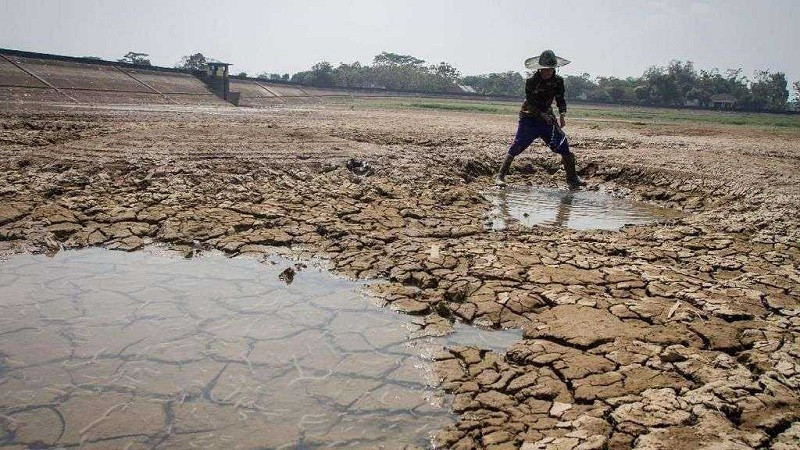 Hadapi Ancaman El Nino, Kementan Pastikan Ketersedian Komoditas Pertanian