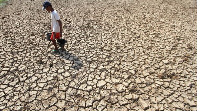 Antisipasi El Nino, Petani Diimbau Percepat Masa Tanam