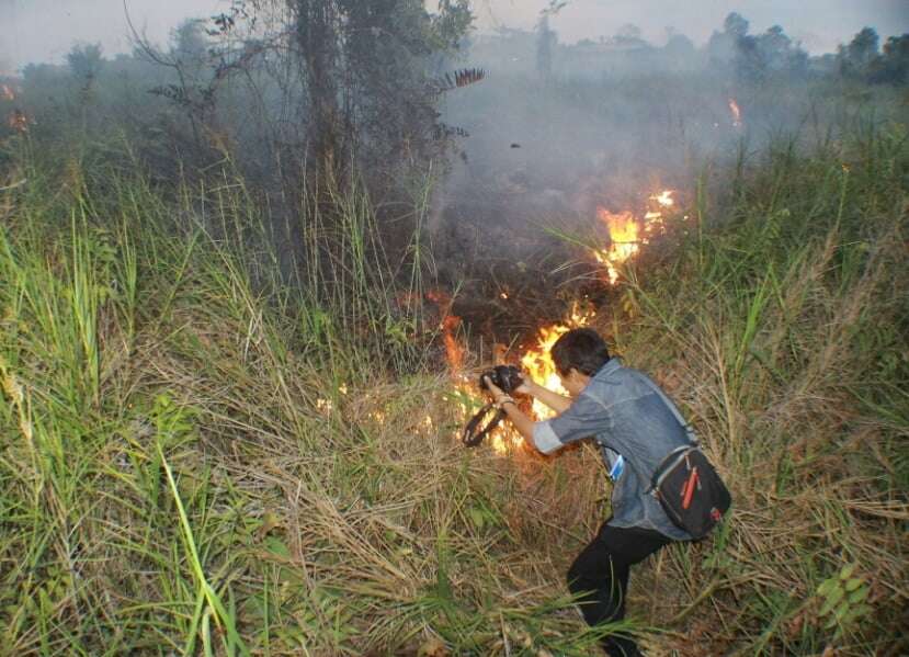 Agustus Diprediksi Kemarau, Karhutla Diwaspadai