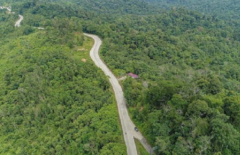 Pelepasan Hutan Kaltim Ditolak Masyarakat