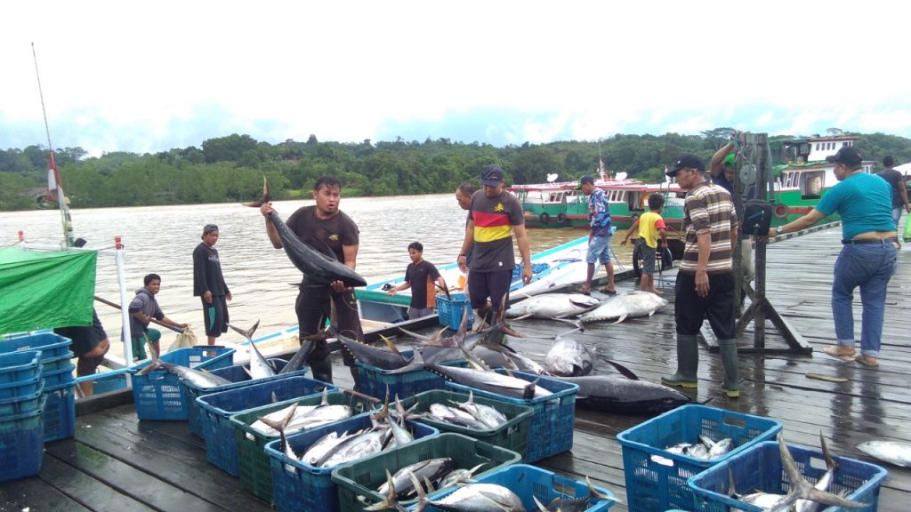 Tangkapan Ikan Turun Drastis