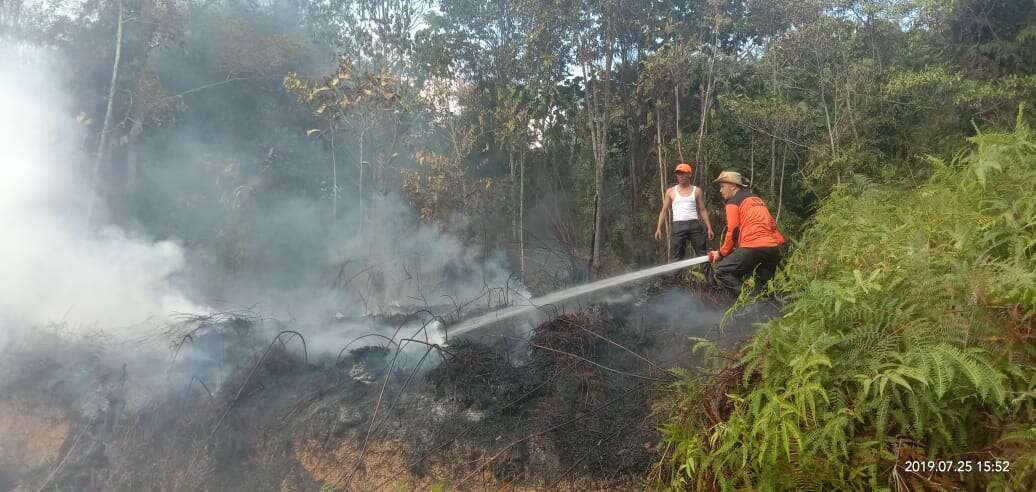 10 Hektare Lahan di Desa Tanjung Agung Terbakar