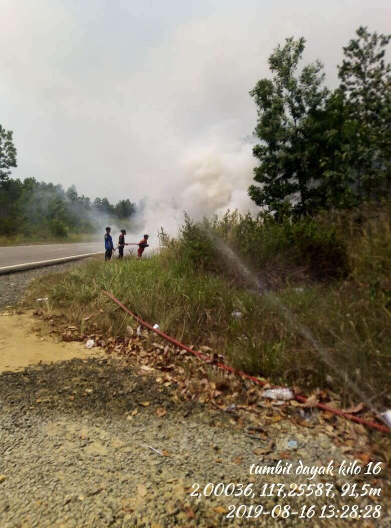 Lagi, Puluhan Hektare Lahan Terbakar