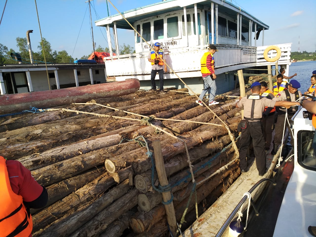 Lagi, Dit Polair Gagalkan Penyelundupan 700 Kubik Kayu Ilegal