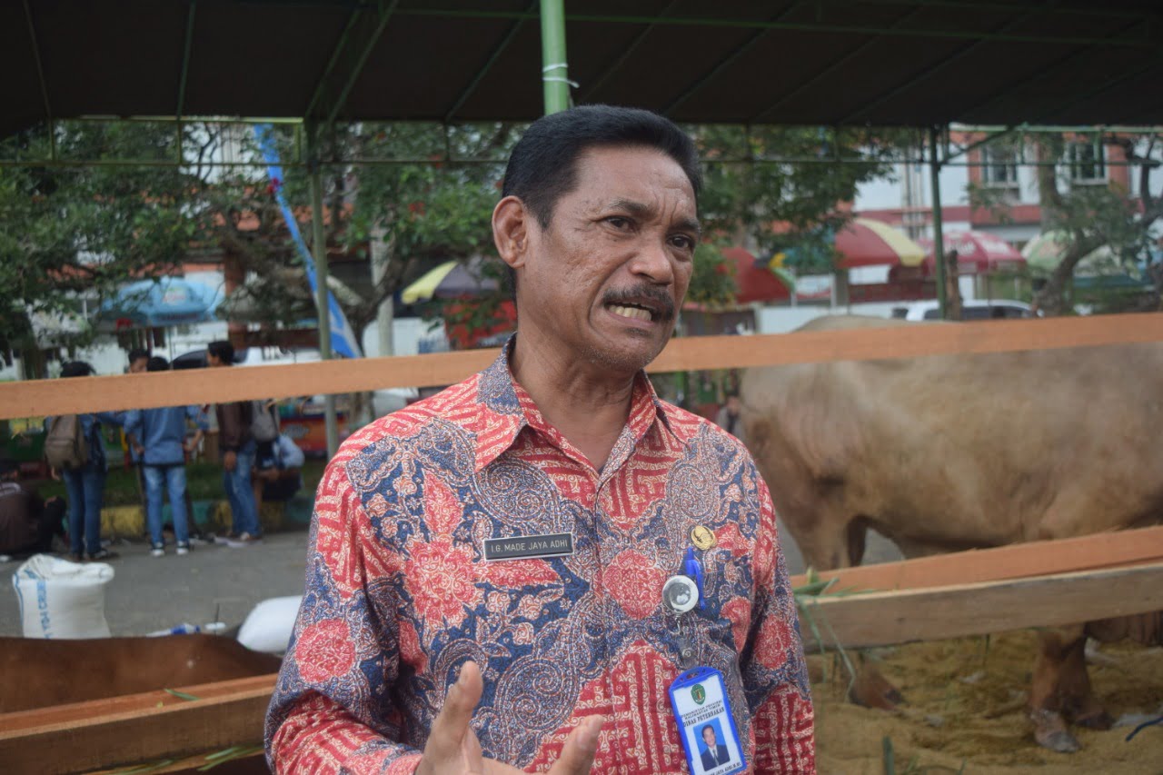 Peternak Lokal hanya Penuhi 25 Persen Kebutuhan Daging Sapi