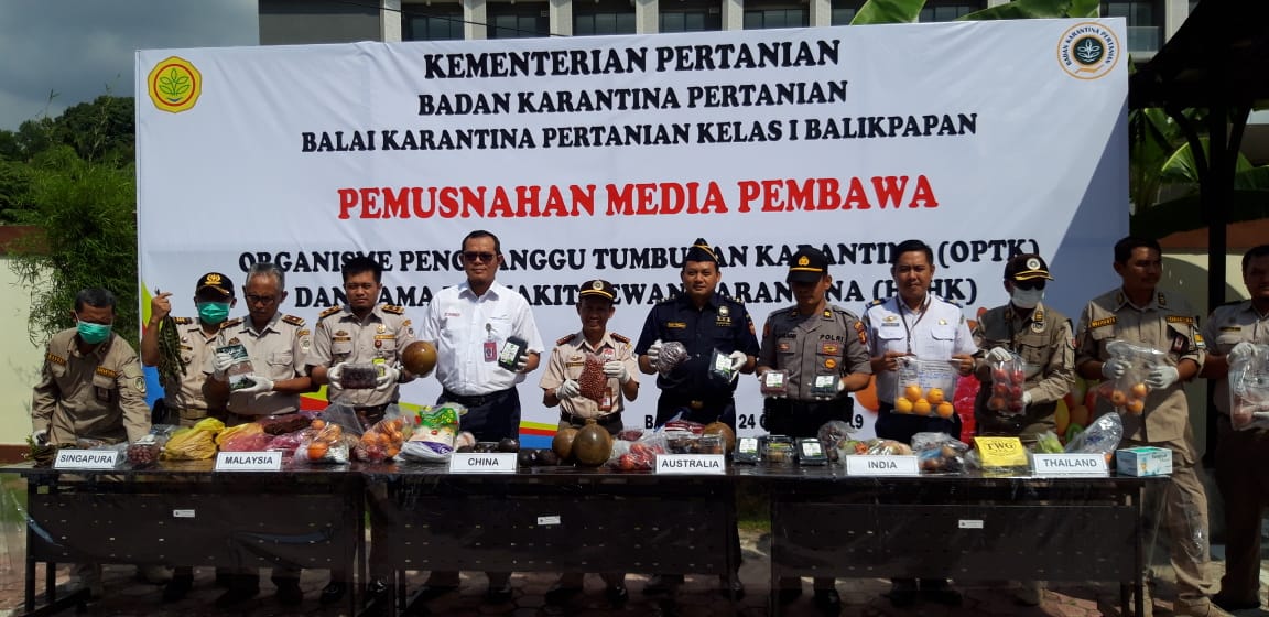 Ratusan Buah dan Tanaman Ilegal Dimusnahkan Balai Karantina Balikpapan