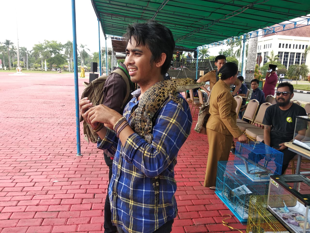 Tidak Merinding, Komunitas Reptil Tetap Percaya Diri Tampil Depan Umum