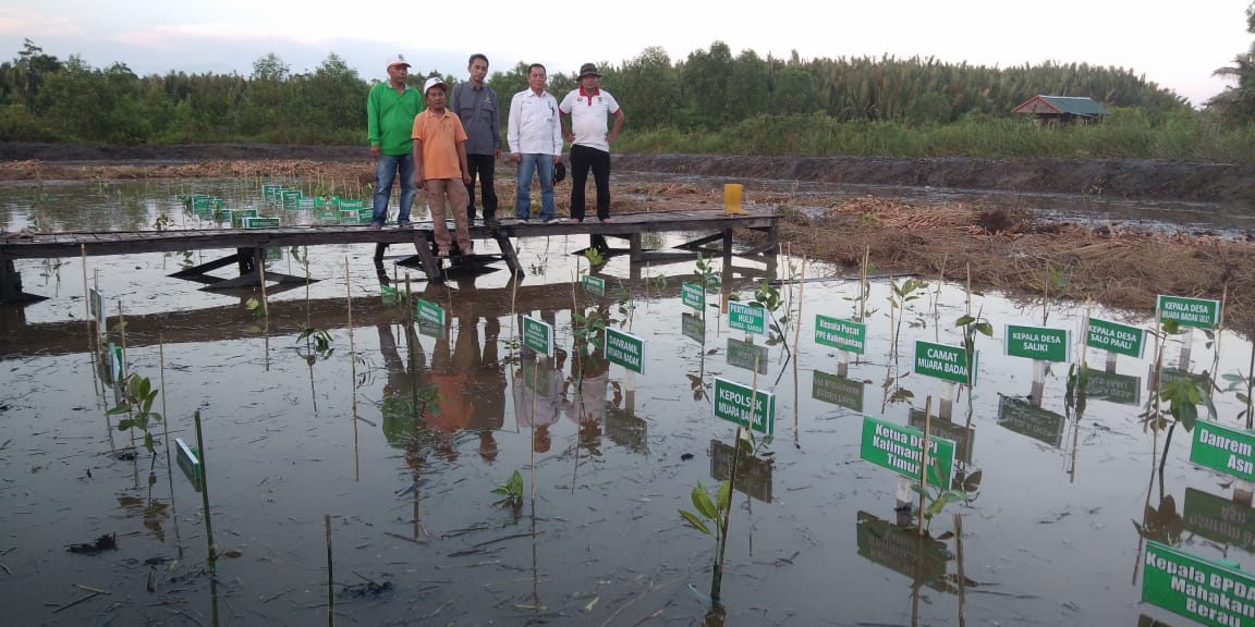 Tujuh Jenis Pohon Endemik Jadi Tanaman Wajib HMPI 2019 