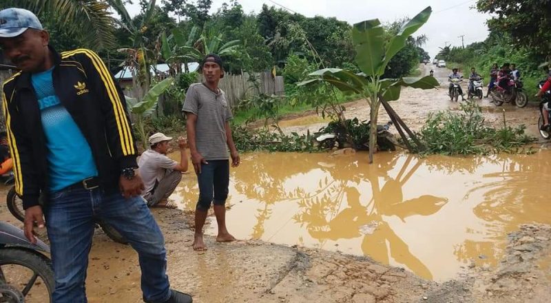 Protes Jalan Rusak, Warga Tanam Pohon Pisang di Tengah Jalan