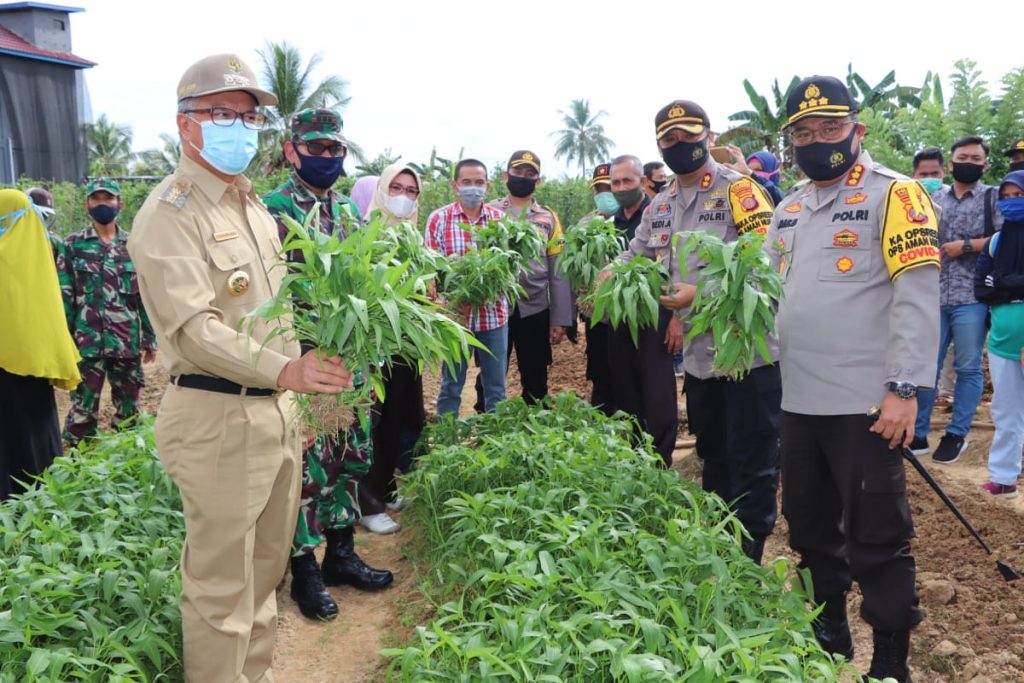 Forkopimda Sambangi Kampung Tangguh Tepian Bumi Rindang Luhur, Demi Tanggap Covid-19 dan Ketahanan Pangan