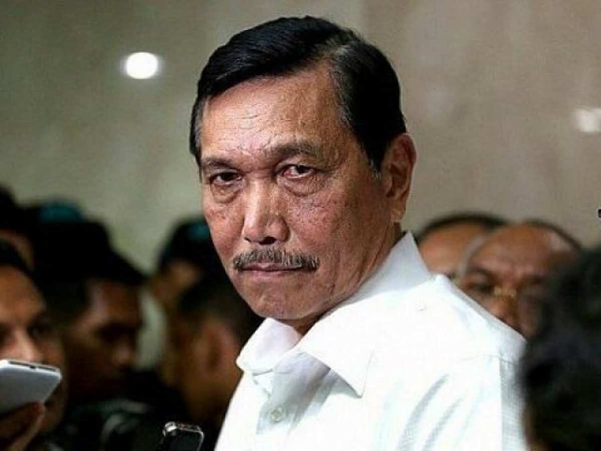 Luhut Sebut 9 Juta Hektare Sawit Belum Bayar Pajak