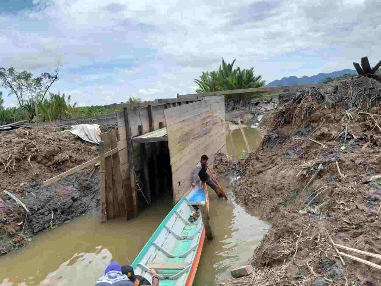 Asuransi Lindungi Tambak Pembudi Daya