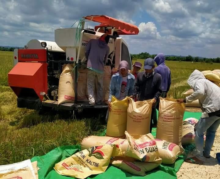 BUMDes di PPU, Untung Sesuai Kearifan Lokal