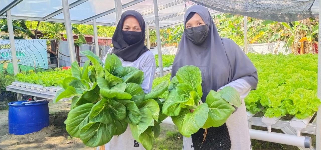 Balikpapan Cetak Puluhan Petani Milenial