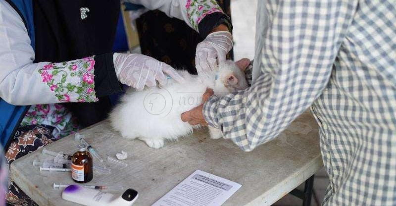 DP3 Balikpapan Gelar Vaksinasi Rabies Gratis